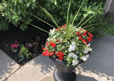 Fleurs à l'entrée de notre foyer pour retraités à Montréal - Résidence Alexis-Nihon (Résidence à Ville St-Laurent)