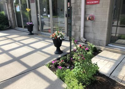 Fleurs à l'entrée de notre résidence à Montréal - Résidence Alexis-Nihon (Résidence à Ville St-Laurent)