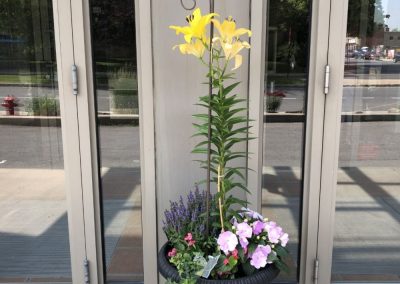 Fleurs à l'entrée de notre résidence pour retraités à Montréal - Résidence Alexis-Nihon (Résidence à Ville St-Laurent)
